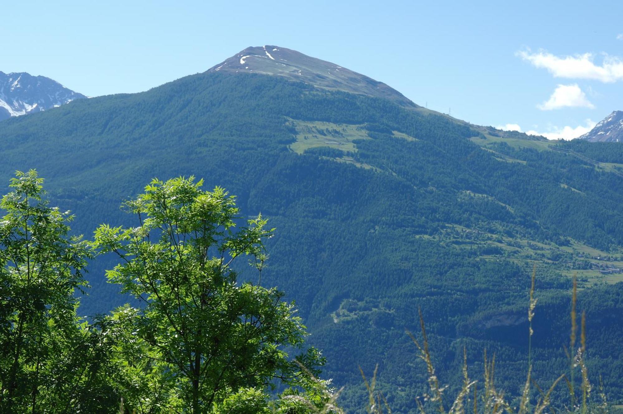 Le Vieux Noyer - Appartamenti Al Verde Villaggio Di Rumiod Saint-Pierre Buitenkant foto